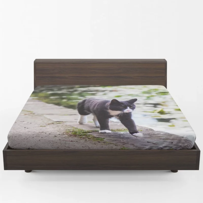 Cat Soulful Eyes Fitted Sheet