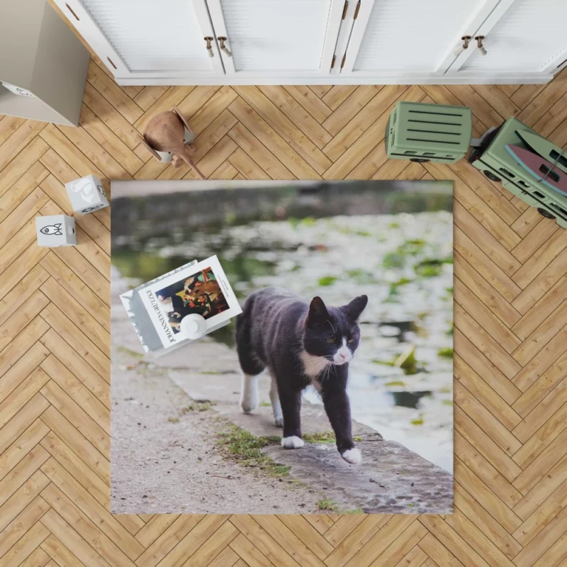 Cat Soulful Eyes Rug