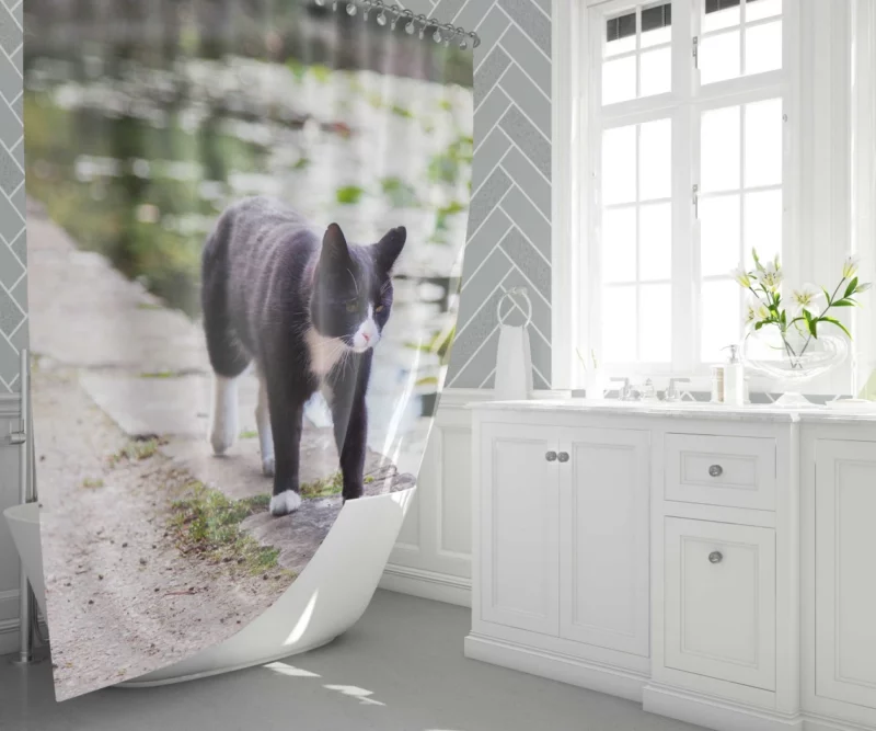 Cat Soulful Eyes Shower Curtain 1