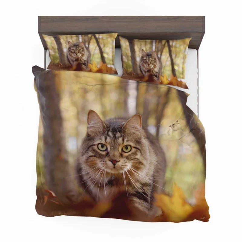 Cat Stare Amidst Falling Leaves Feline Serenity Bedding Set 1