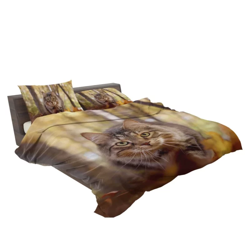 Cat Stare Amidst Falling Leaves Feline Serenity Bedding Set 2