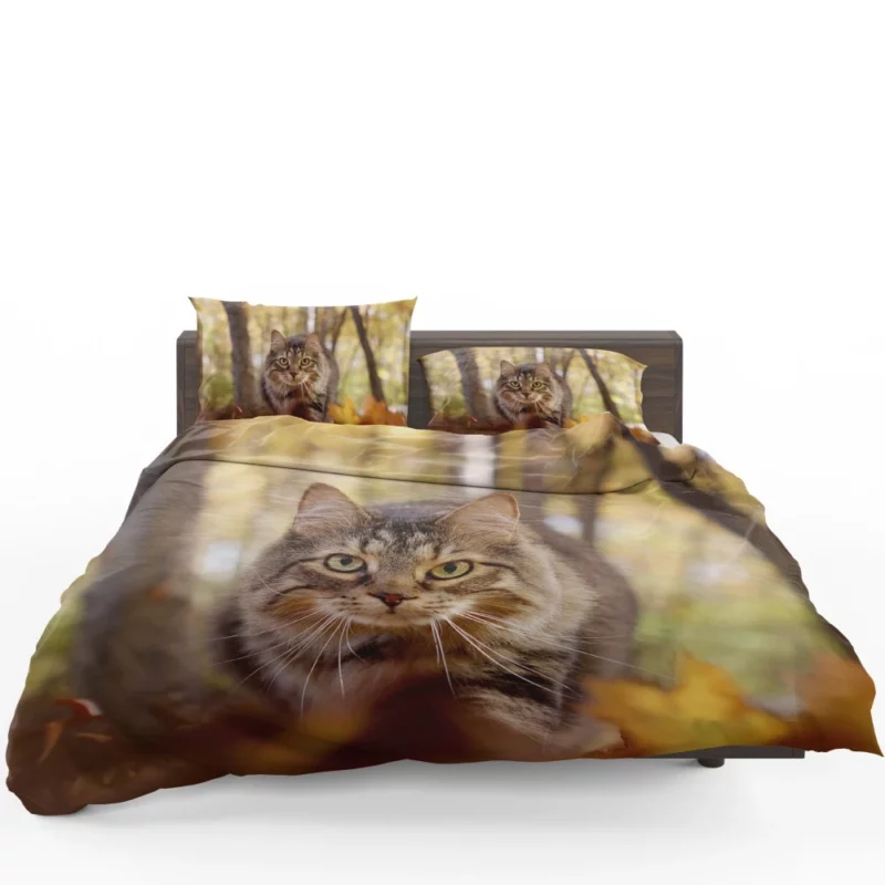 Cat Stare Amidst Falling Leaves Feline Serenity Bedding Set