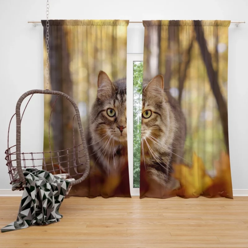 Cat Stare Amidst Falling Leaves Feline Serenity Curtain