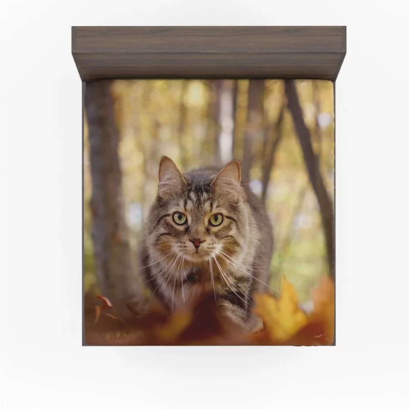 Cat Stare Amidst Falling Leaves Feline Serenity Fitted Sheet 1