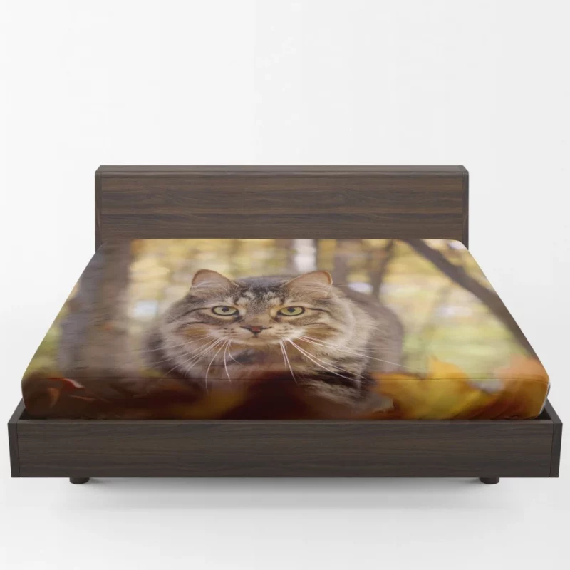 Cat Stare Amidst Falling Leaves Feline Serenity Fitted Sheet