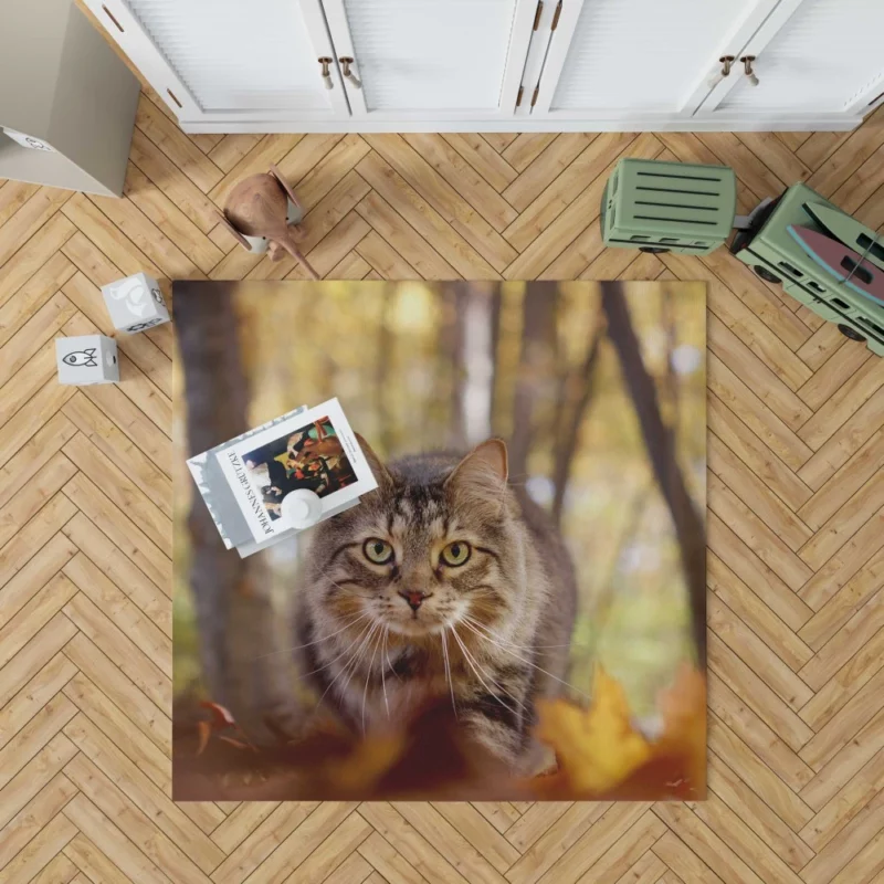 Cat Stare Amidst Falling Leaves Feline Serenity Rug