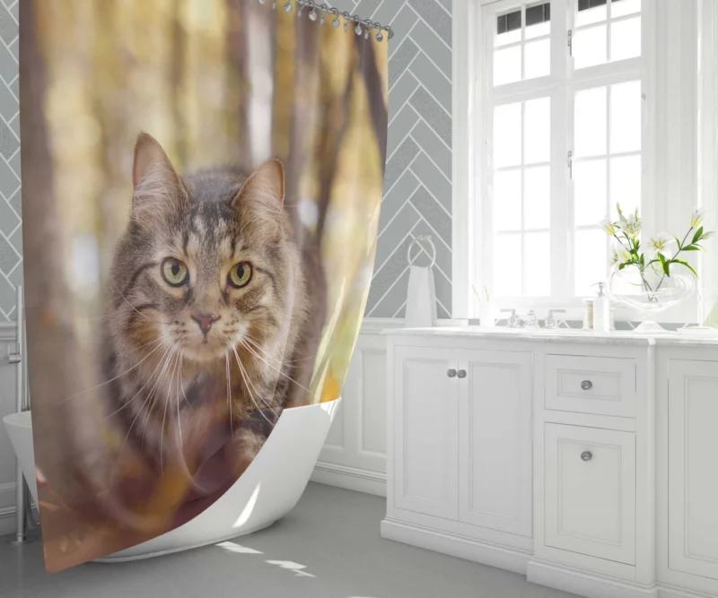 Cat Stare Amidst Falling Leaves Feline Serenity Shower Curtain 1