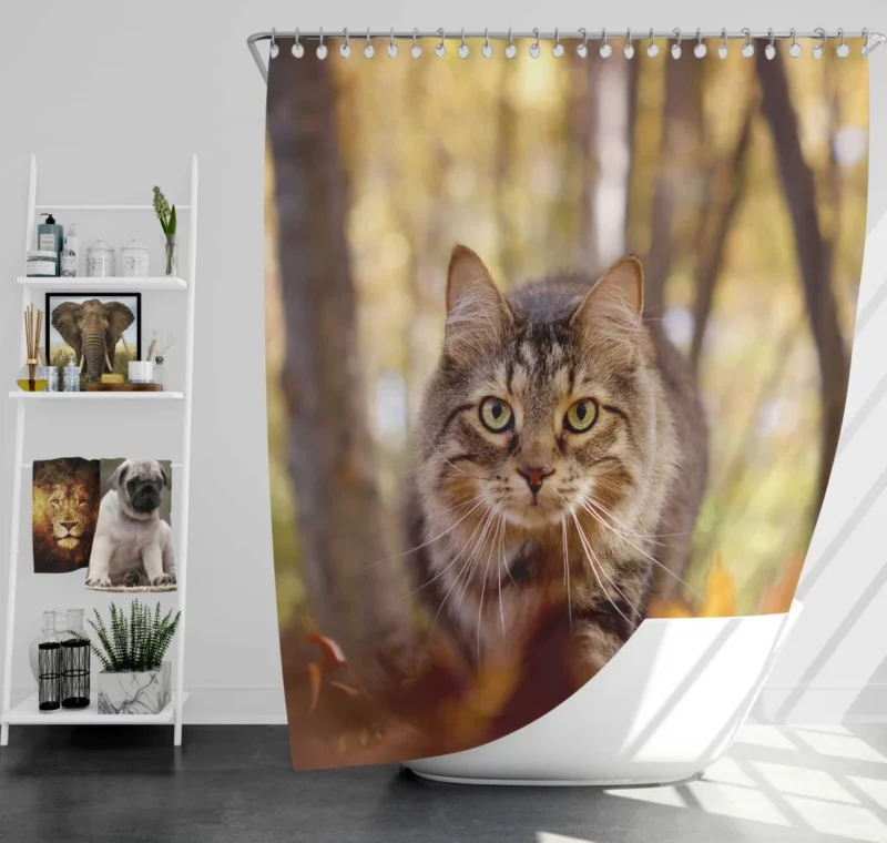 Cat Stare Amidst Falling Leaves Feline Serenity Shower Curtain