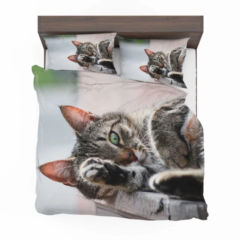 Cat Stare Amidst Restful Serenity Bedding Set 1