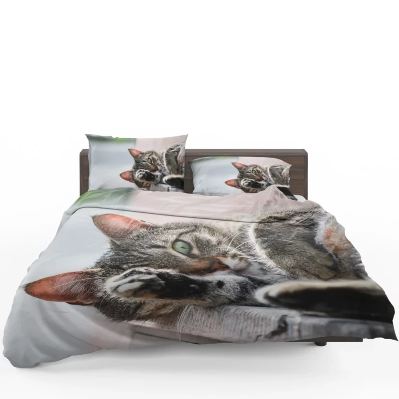 Cat Stare Amidst Restful Serenity Bedding Set