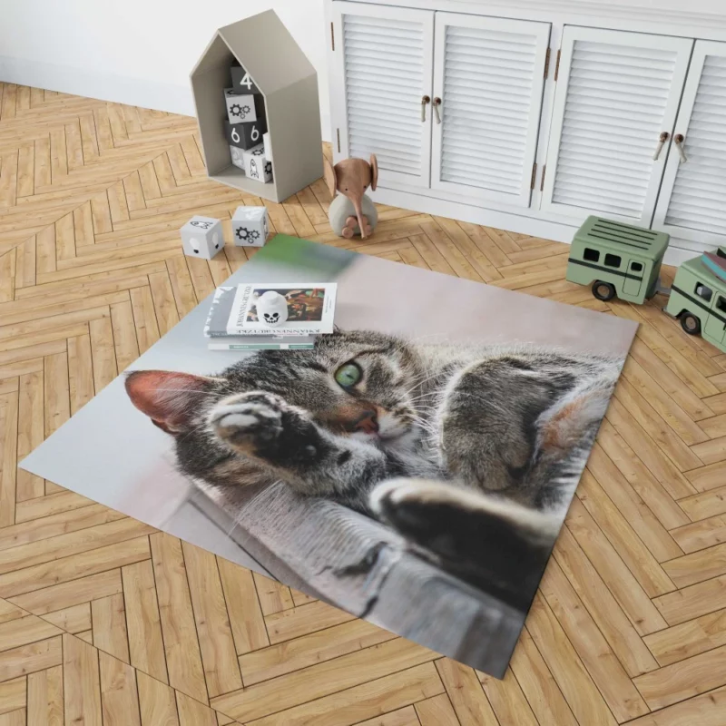 Cat Stare Amidst Restful Serenity Rug 1