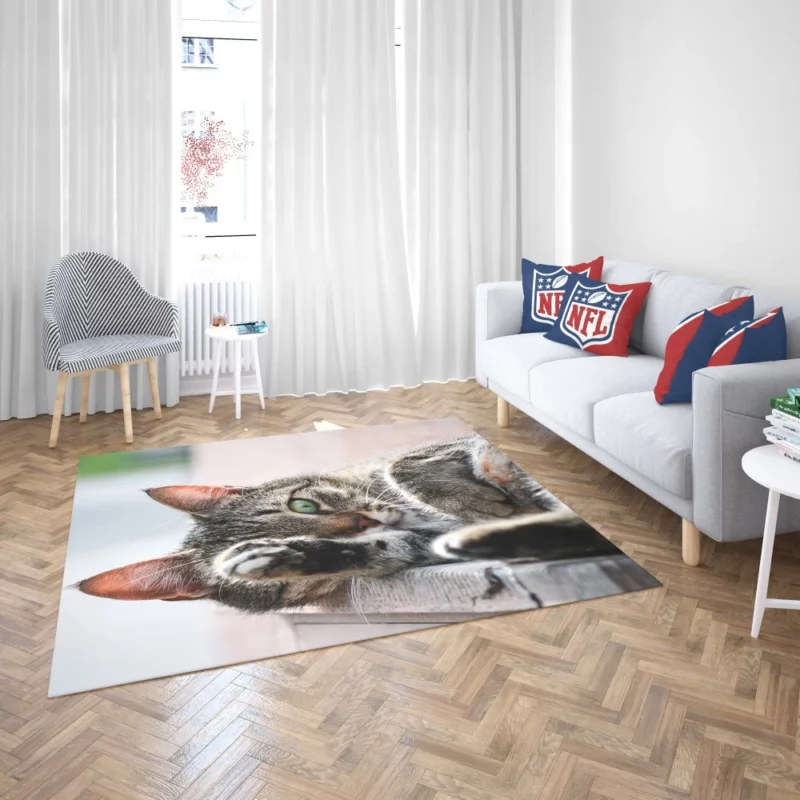 Cat Stare Amidst Restful Serenity Rug 2