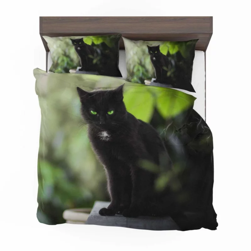 Cat Stare Amidst Serenity Enigmatic Beauty Bedding Set 1