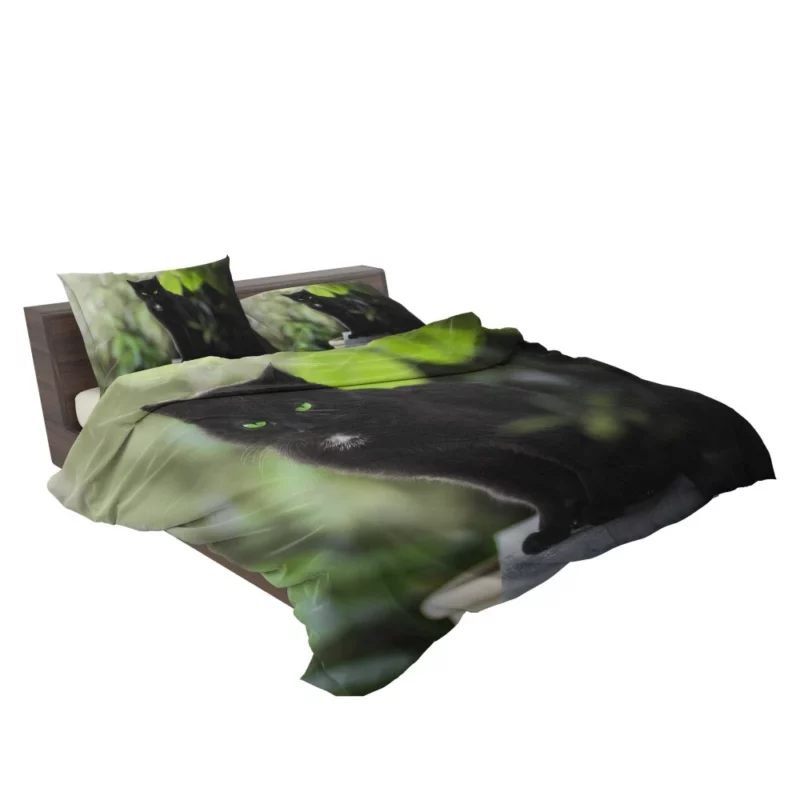 Cat Stare Amidst Serenity Enigmatic Beauty Bedding Set 2