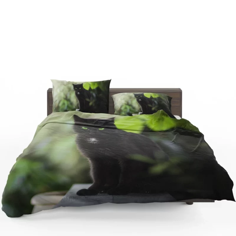 Cat Stare Amidst Serenity Enigmatic Beauty Bedding Set