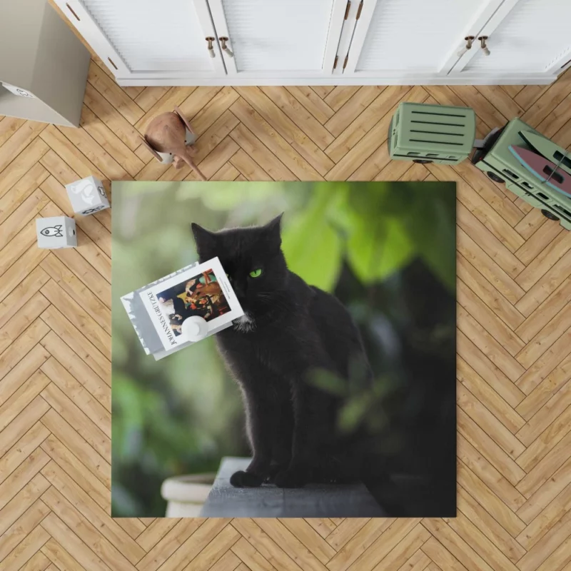 Cat Stare Amidst Serenity Enigmatic Beauty Rug