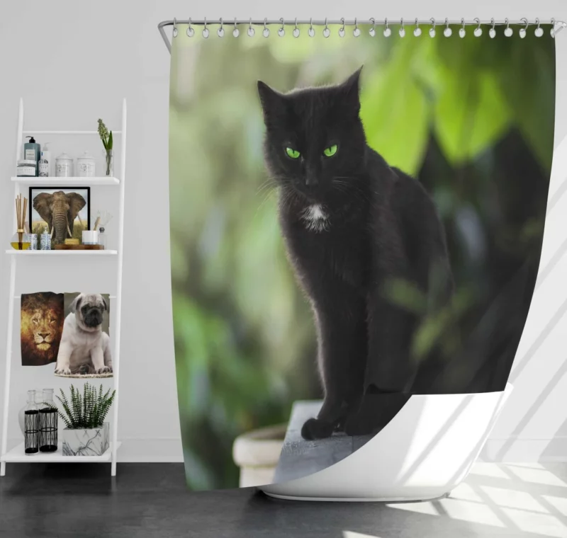 Cat Stare Amidst Serenity Enigmatic Beauty Shower Curtain