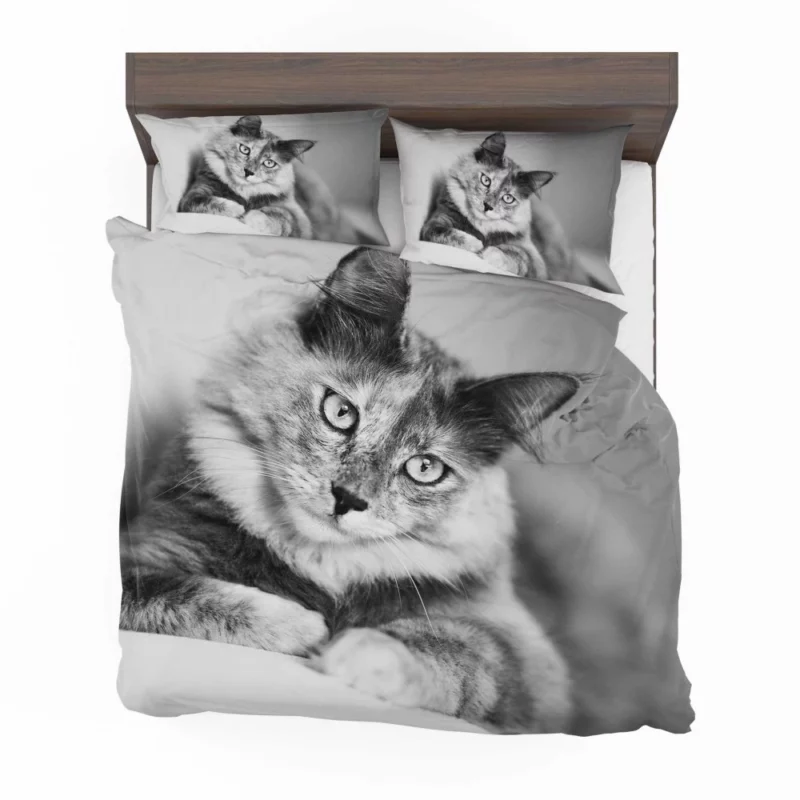 Cat Striking Black & White Beauty Bedding Set 1