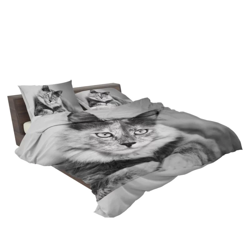 Cat Striking Black & White Beauty Bedding Set 2