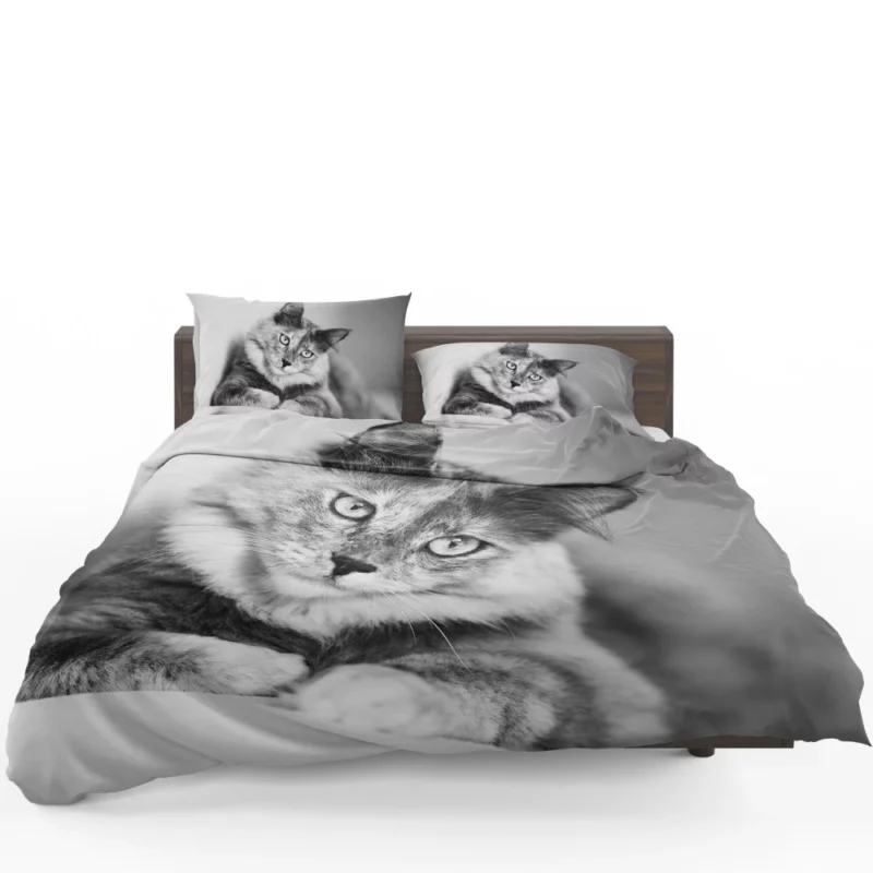 Cat Striking Black & White Beauty Bedding Set