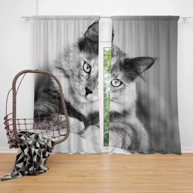 Cat Striking Black & White Beauty Curtain