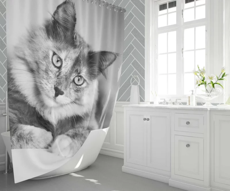 Cat Striking Black & White Beauty Shower Curtain 1