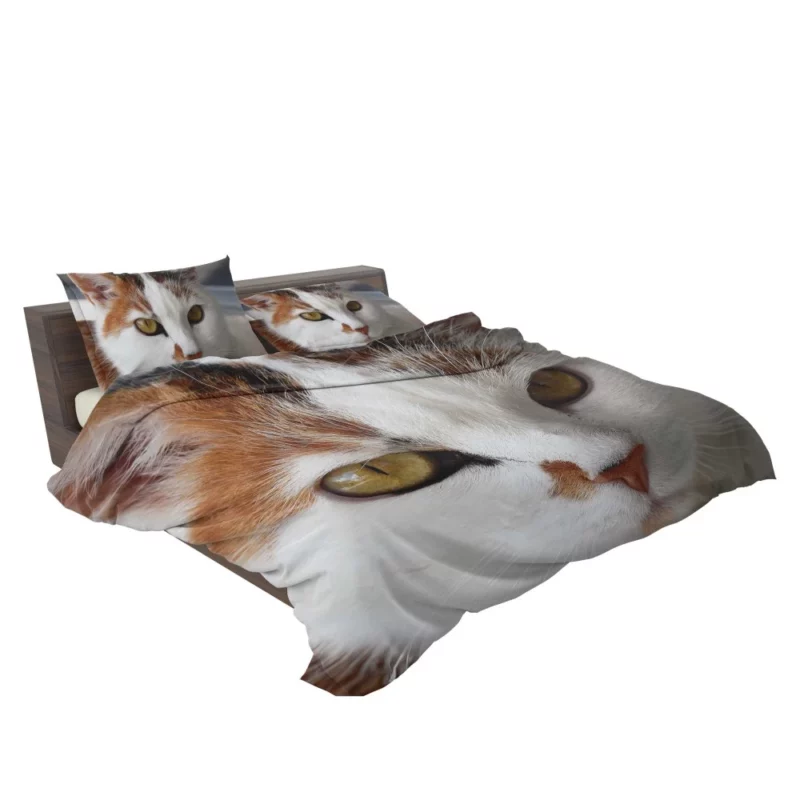 Cat Thoughtful Stare Mysterious Intrigue Bedding Set 2