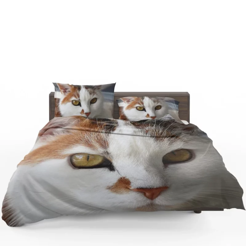 Cat Thoughtful Stare Mysterious Intrigue Bedding Set