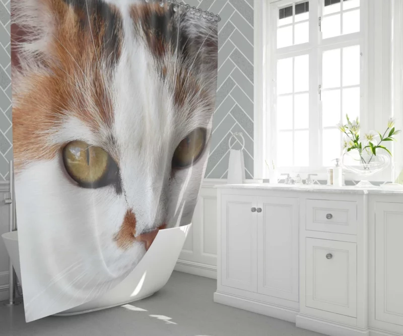 Cat Thoughtful Stare Mysterious Intrigue Shower Curtain 1