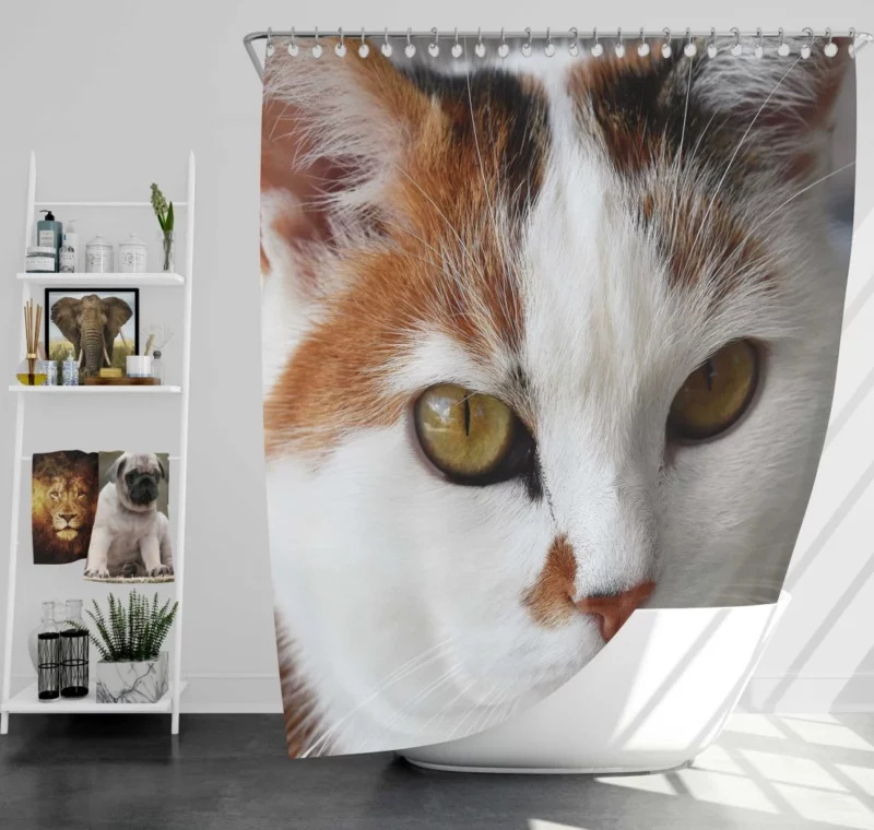 Cat Thoughtful Stare Mysterious Intrigue Shower Curtain