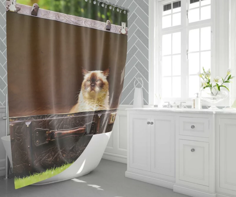 Cat Veil of Intrigue Mysterious Charm Shower Curtain 1