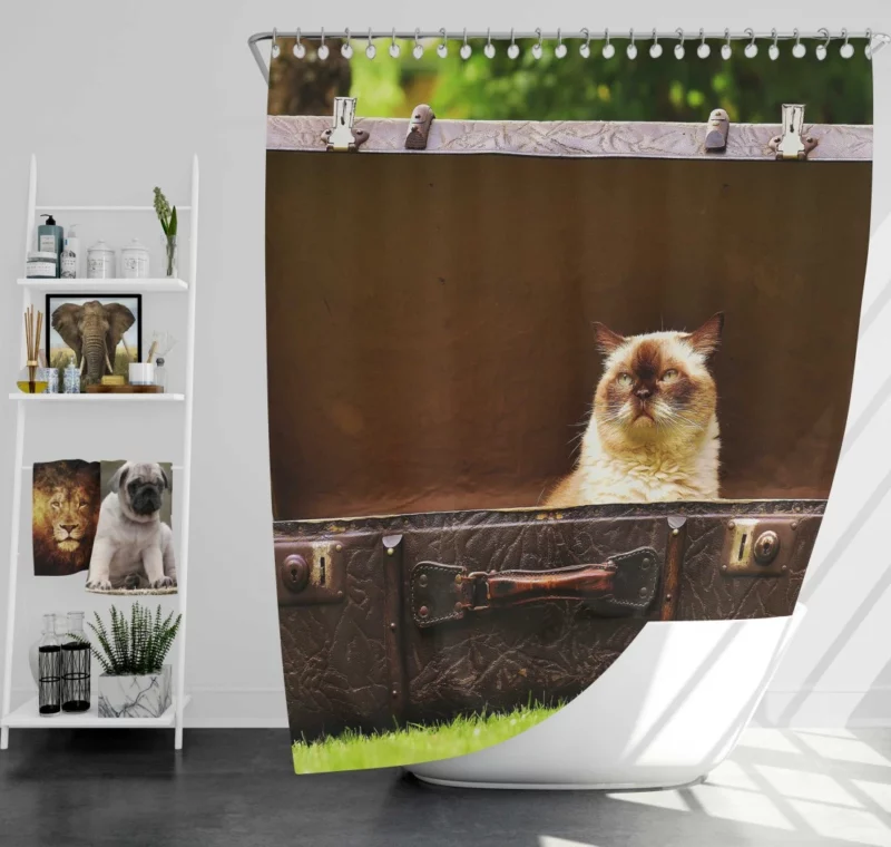 Cat Veil of Intrigue Mysterious Charm Shower Curtain