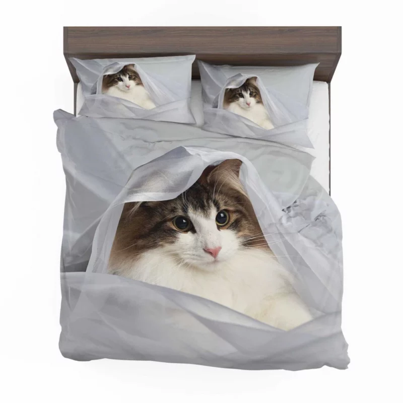 Cat Veiled Mystery Intriguing Elegance Bedding Set 1