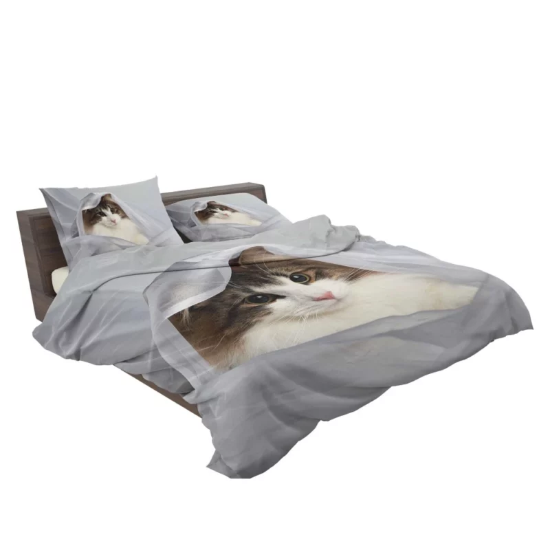 Cat Veiled Mystery Intriguing Elegance Bedding Set 2