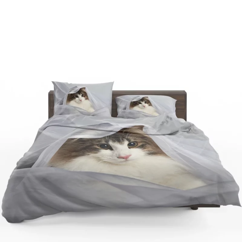 Cat Veiled Mystery Intriguing Elegance Bedding Set