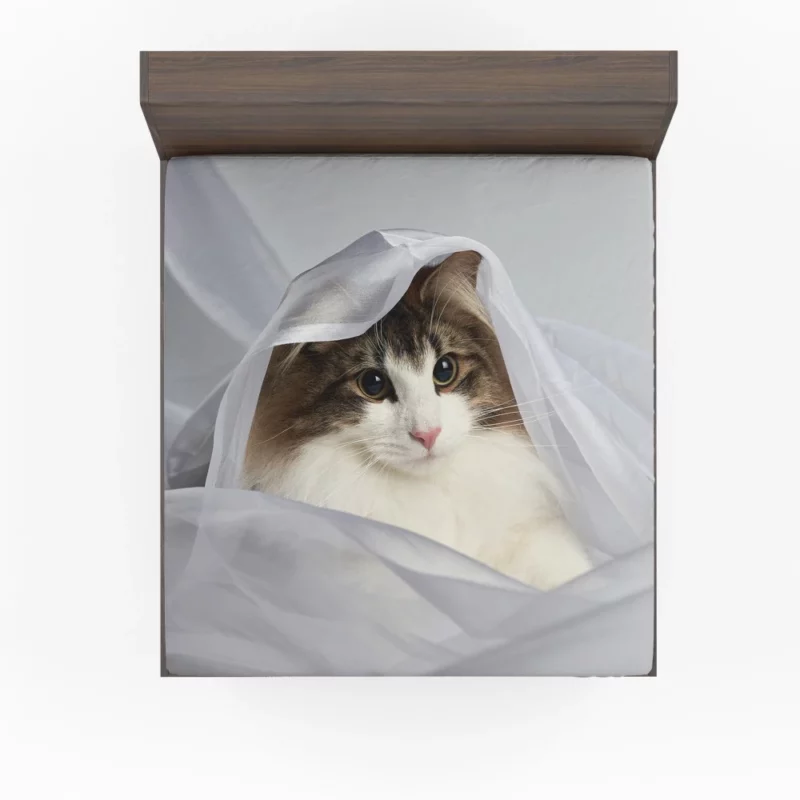 Cat Veiled Mystery Intriguing Elegance Fitted Sheet 1