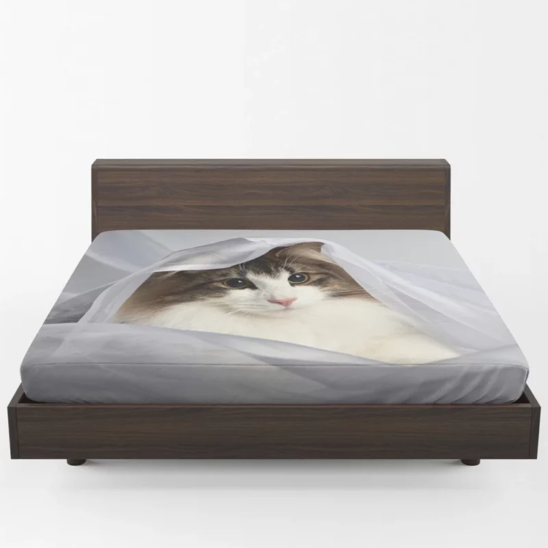 Cat Veiled Mystery Intriguing Elegance Fitted Sheet