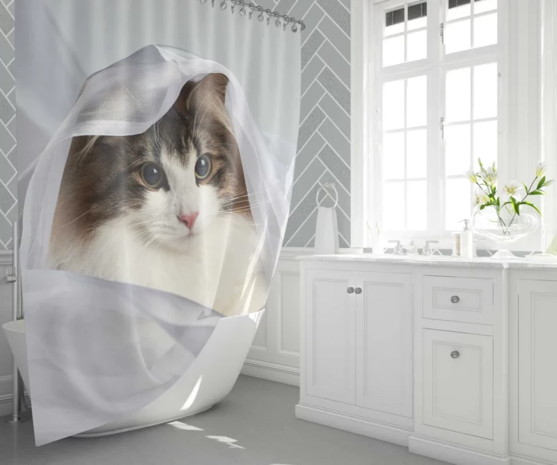 Cat Veiled Mystery Intriguing Elegance Shower Curtain 1