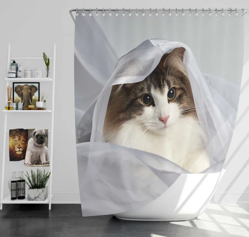 Cat Veiled Mystery Intriguing Elegance Shower Curtain