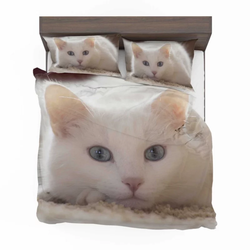 Cat Whiskers Curious Charm Bedding Set 1