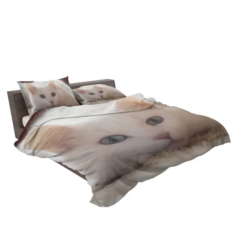 Cat Whiskers Curious Charm Bedding Set 2