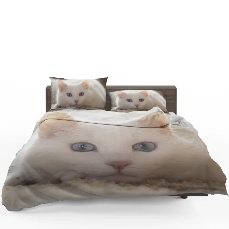 Cat Whiskers Curious Charm Bedding Set