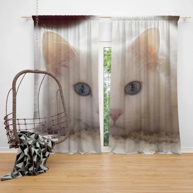 Cat Whiskers Curious Charm Curtain