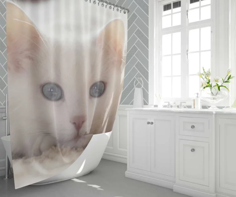 Cat Whiskers Curious Charm Shower Curtain 1