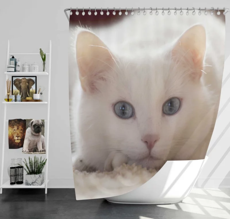 Cat Whiskers Curious Charm Shower Curtain