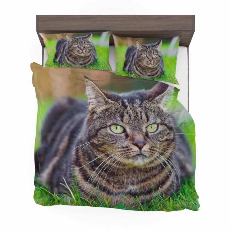 Cat Whiskers Feline Charm Bedding Set 1