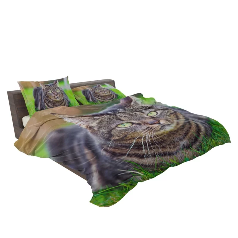 Cat Whiskers Feline Charm Bedding Set 2