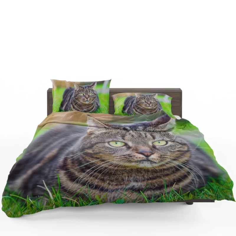 Cat Whiskers Feline Charm Bedding Set