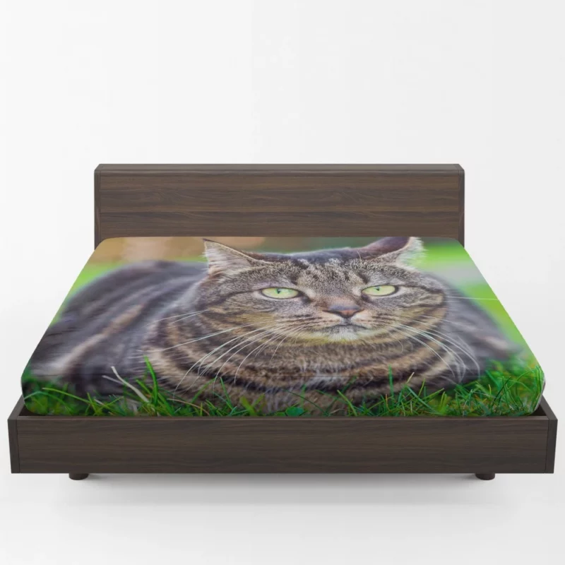 Cat Whiskers Feline Charm Fitted Sheet