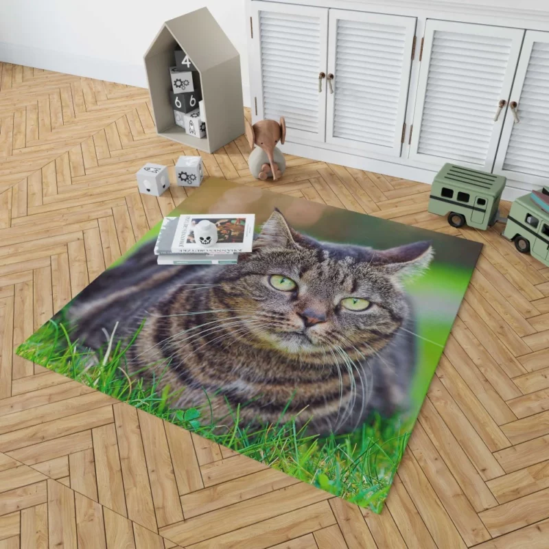 Cat Whiskers Feline Charm Rug 1